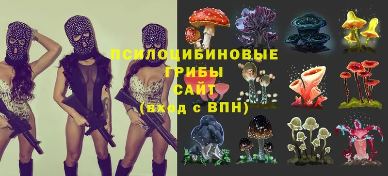 Галлюциногенные грибы Cubensis  наркота  Грязи 